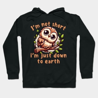 I'm Not Short I'm Just Down To Earth Hoodie